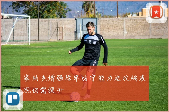 塞纳克增强绿军防守能力进攻端表现仍需提升