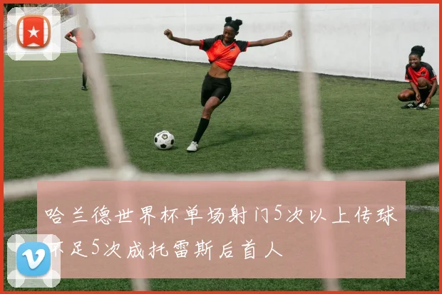 哈兰德世界杯单场射门5次以上传球不足5次成托雷斯后首人